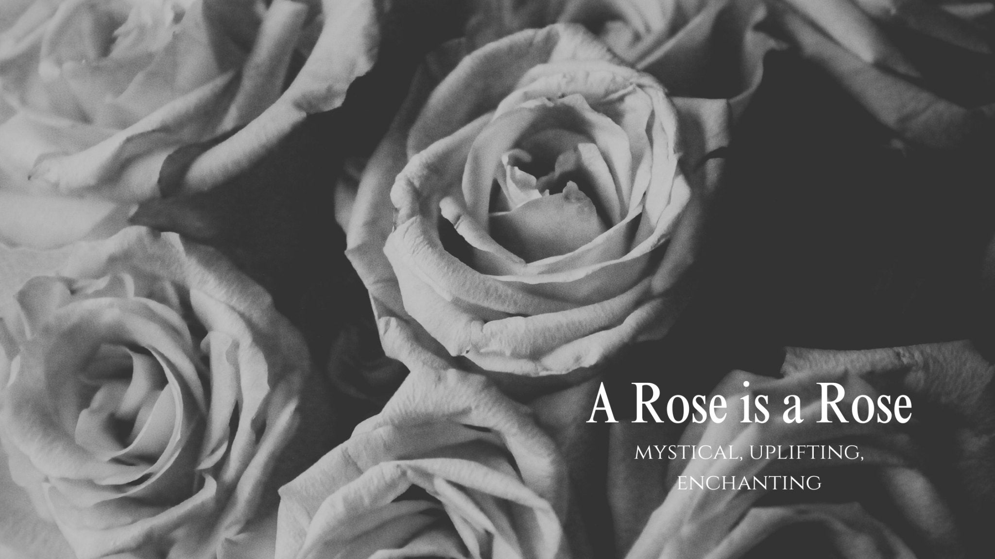 A Rose is a Rose: Transformative Power of Rose Essential Oil: Exploring the Psychospiritual Effects - Gressa Skin