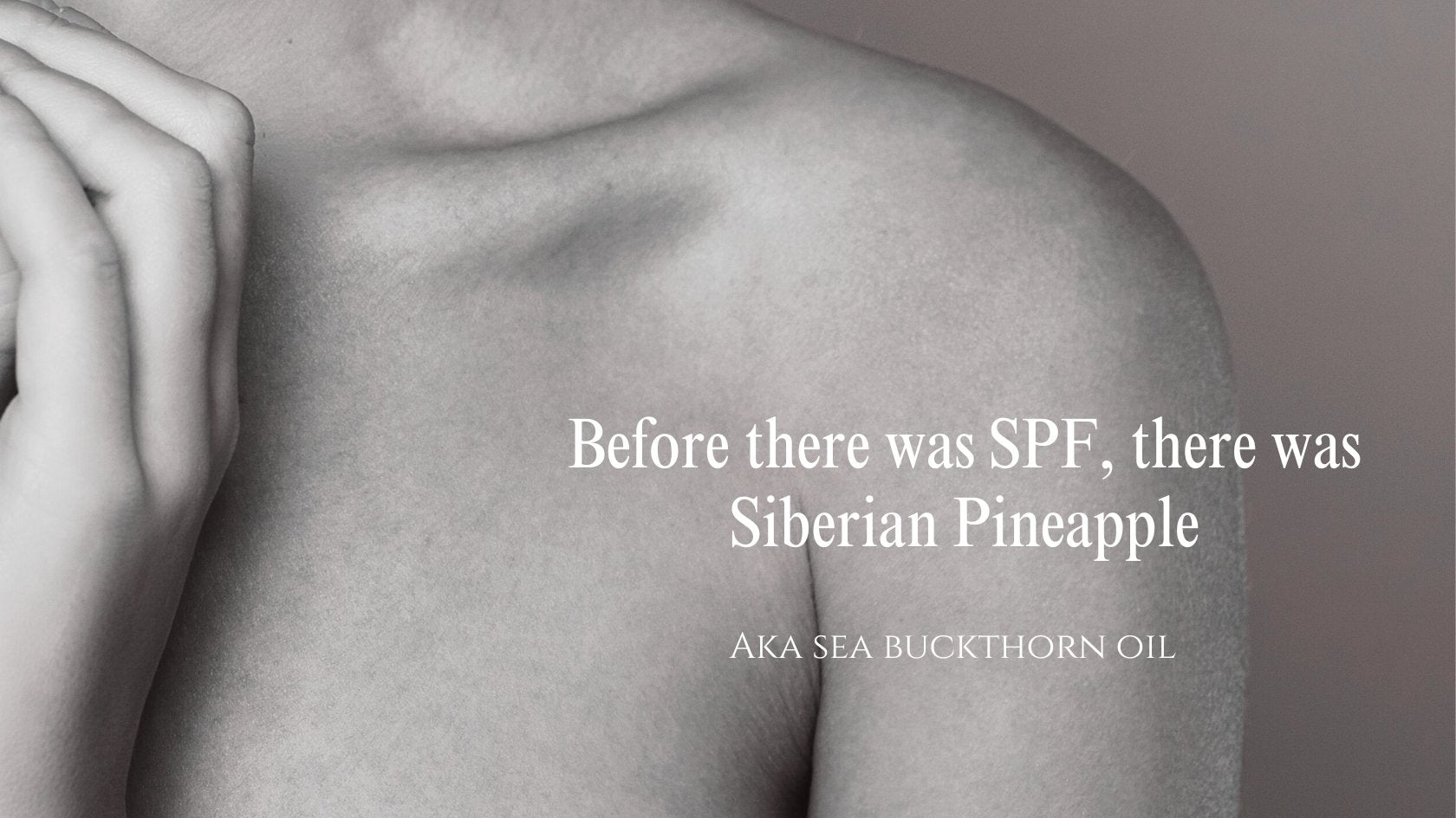 Before there was SPF, there was Siberian Pineapple - Gressa Skin